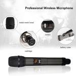 SHENGFU W-14 Professional Wireless Microphone